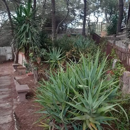 Apartamento Trilocale Sul Mare Con Giardino Privato *