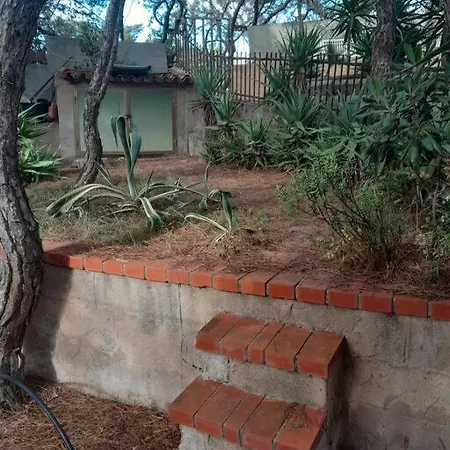 Trilocale Sul Mare Con Giardino Privato